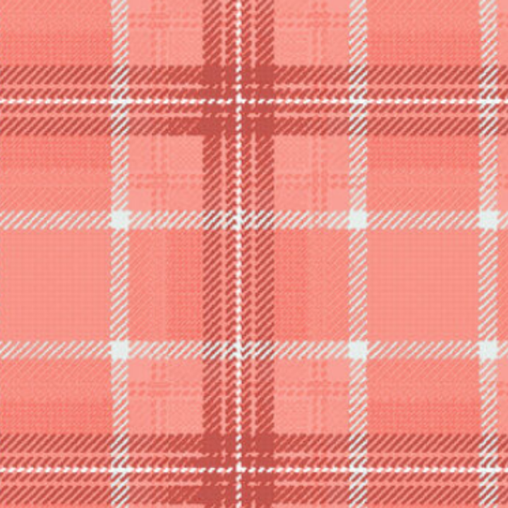 Estampado Cuadros - 22697