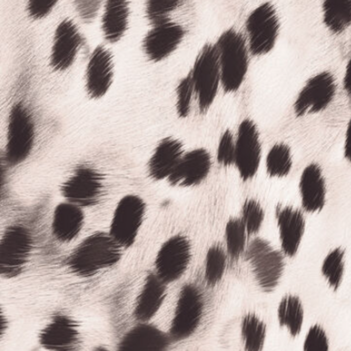 Animal Print - 41882