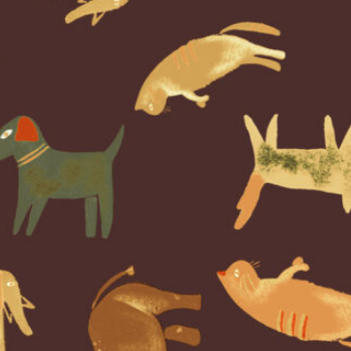 Estampado Animales - 01624