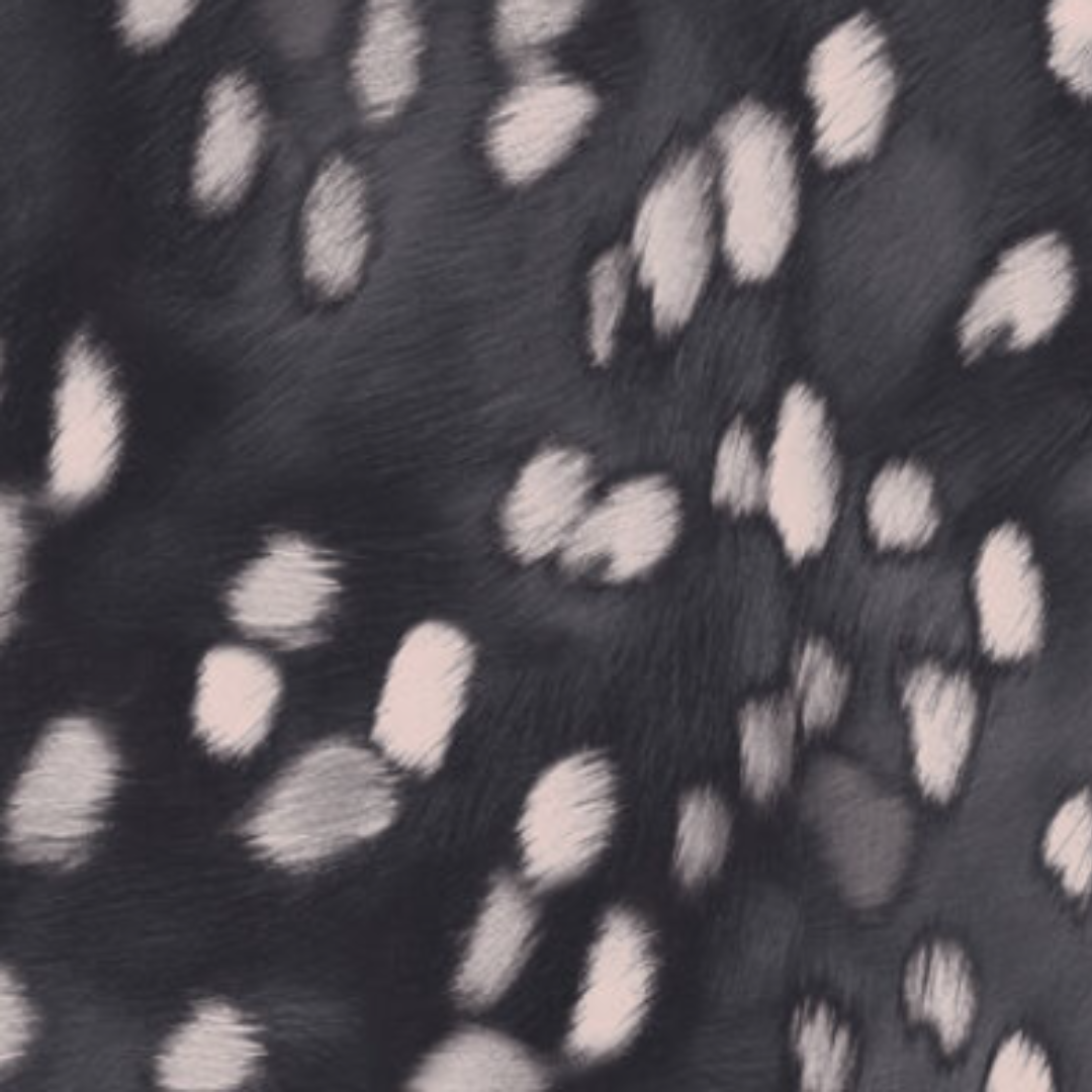 Animal Print - 41882