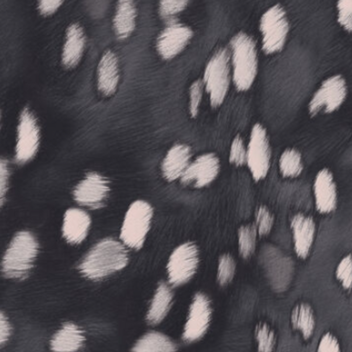 Animal Print - 41882