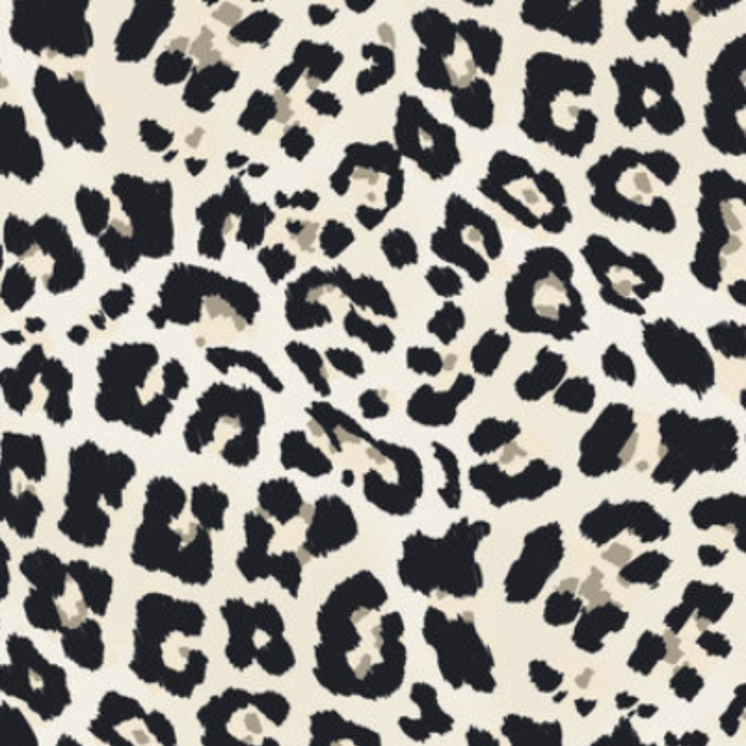 Leopardo