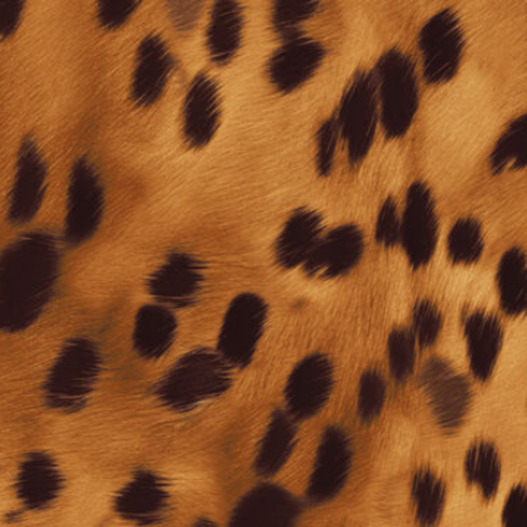 Animal Print - 41882