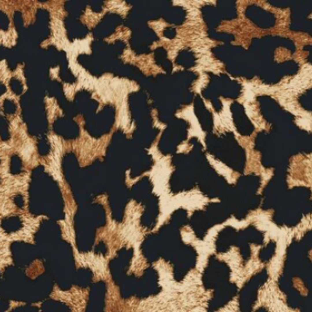 Estampado Animal Print - 21256
