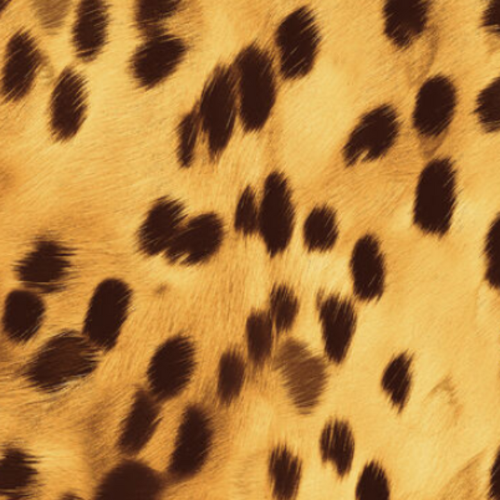 Animal Print - 41882