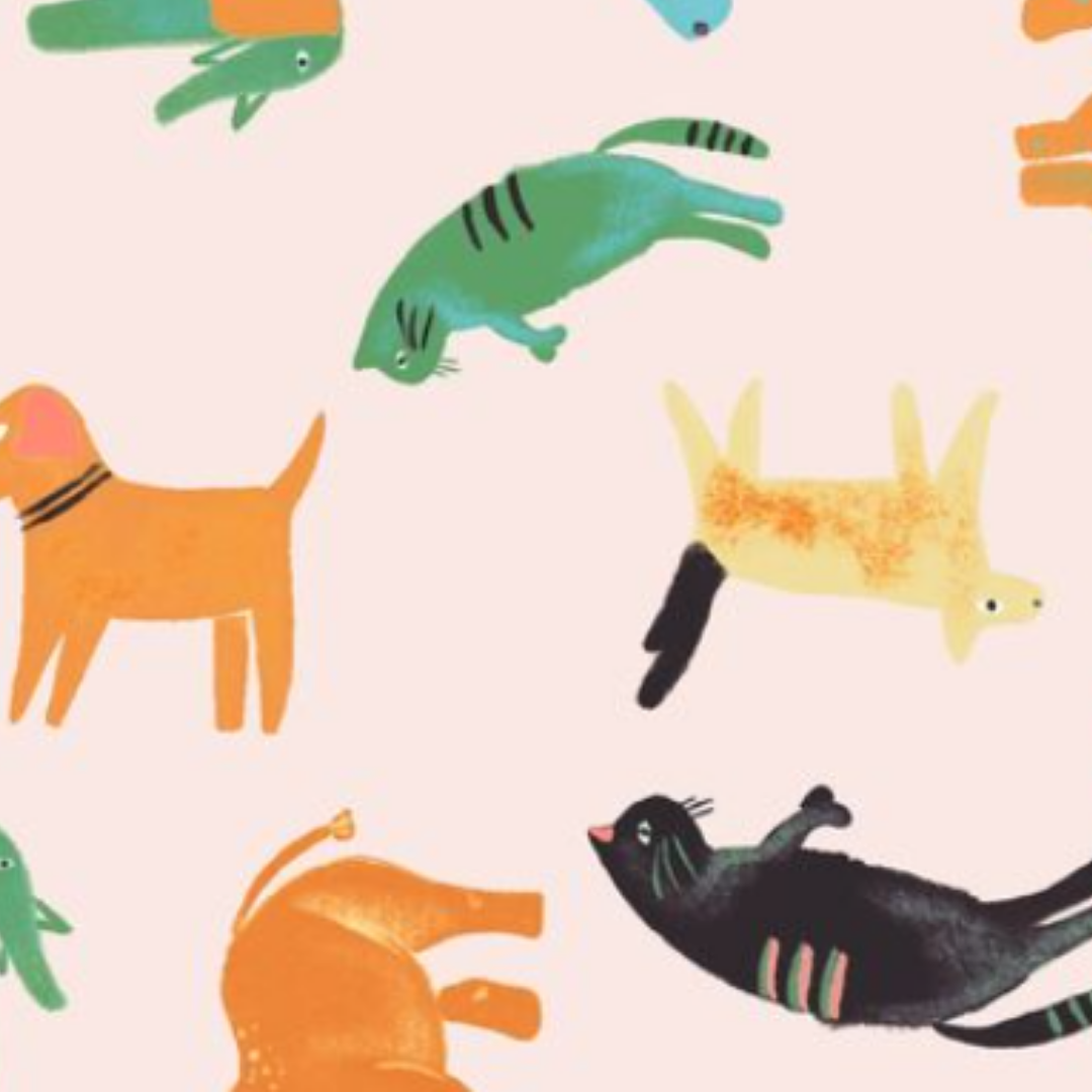 Estampado Animales - 01624