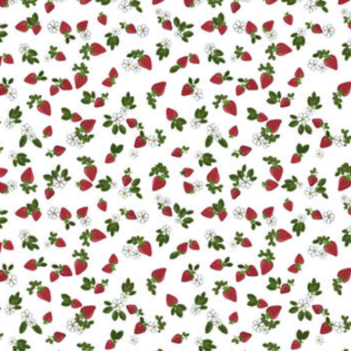 Estampado Frutas - 02074
