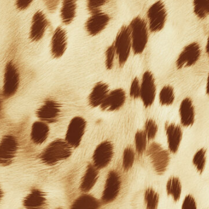 Animal Print - 41882
