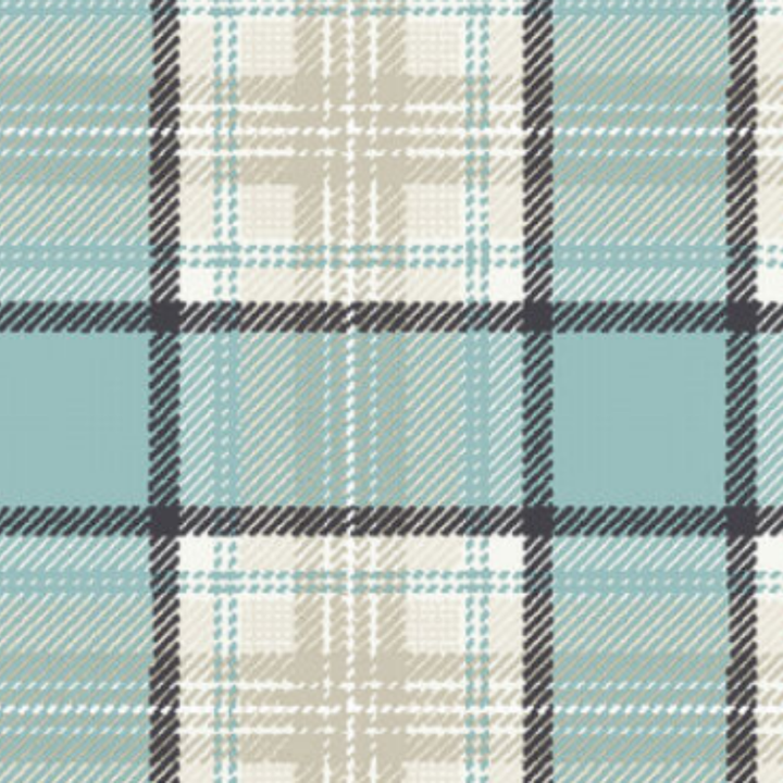 Estampado Cuadros - 22697