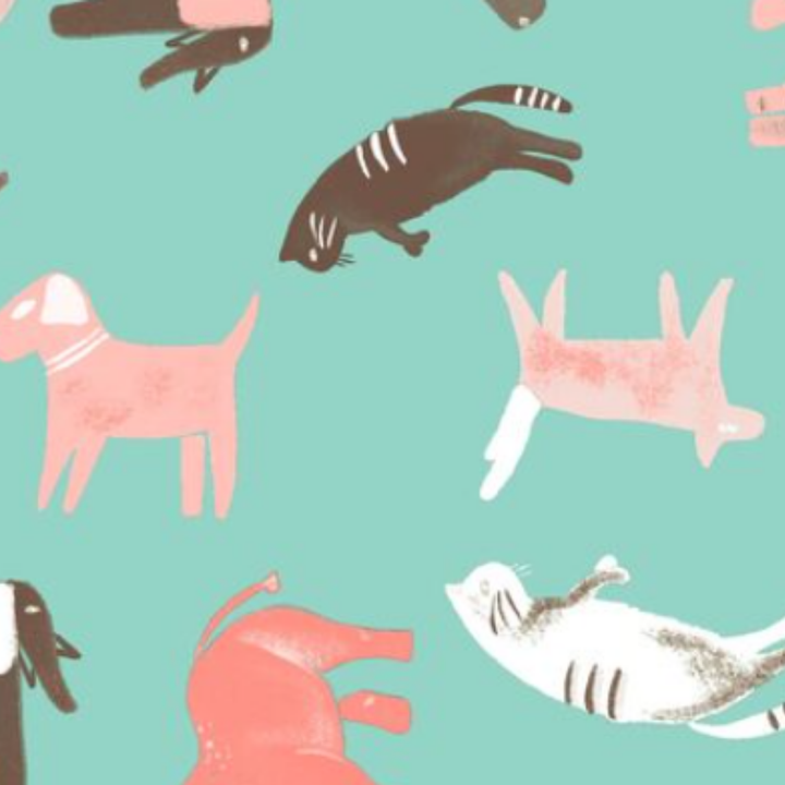 Estampado Animales - 01624