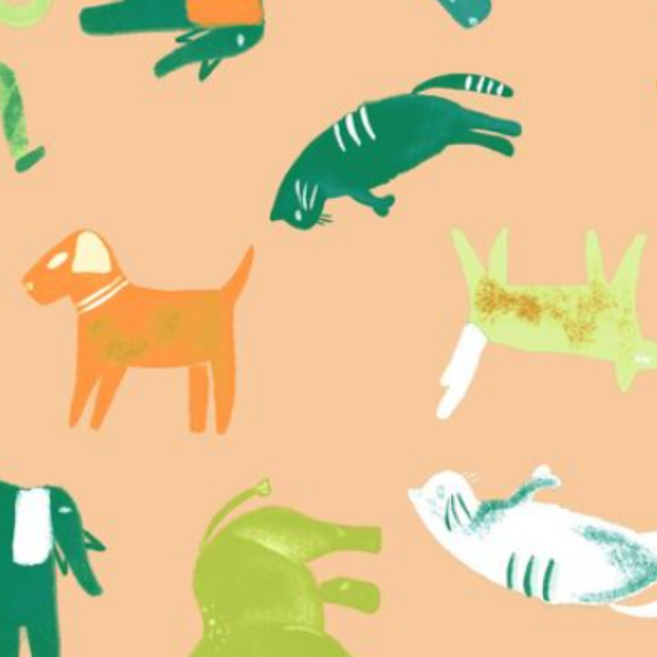 Estampado Animales - 01624