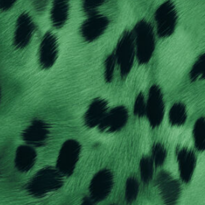 Animal Print - 41882