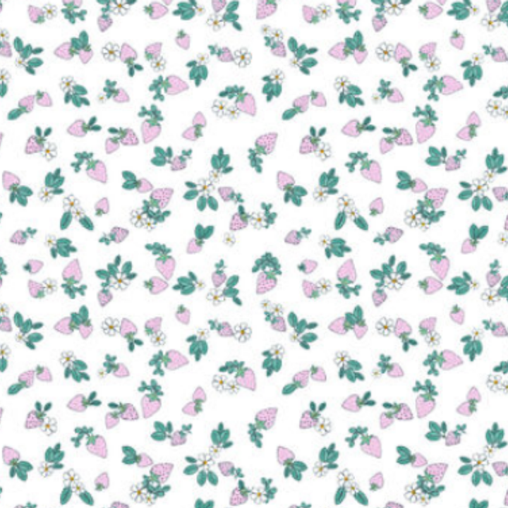 Estampado Frutas - 02074