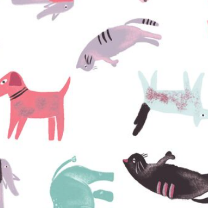 Estampado Animales - 01624