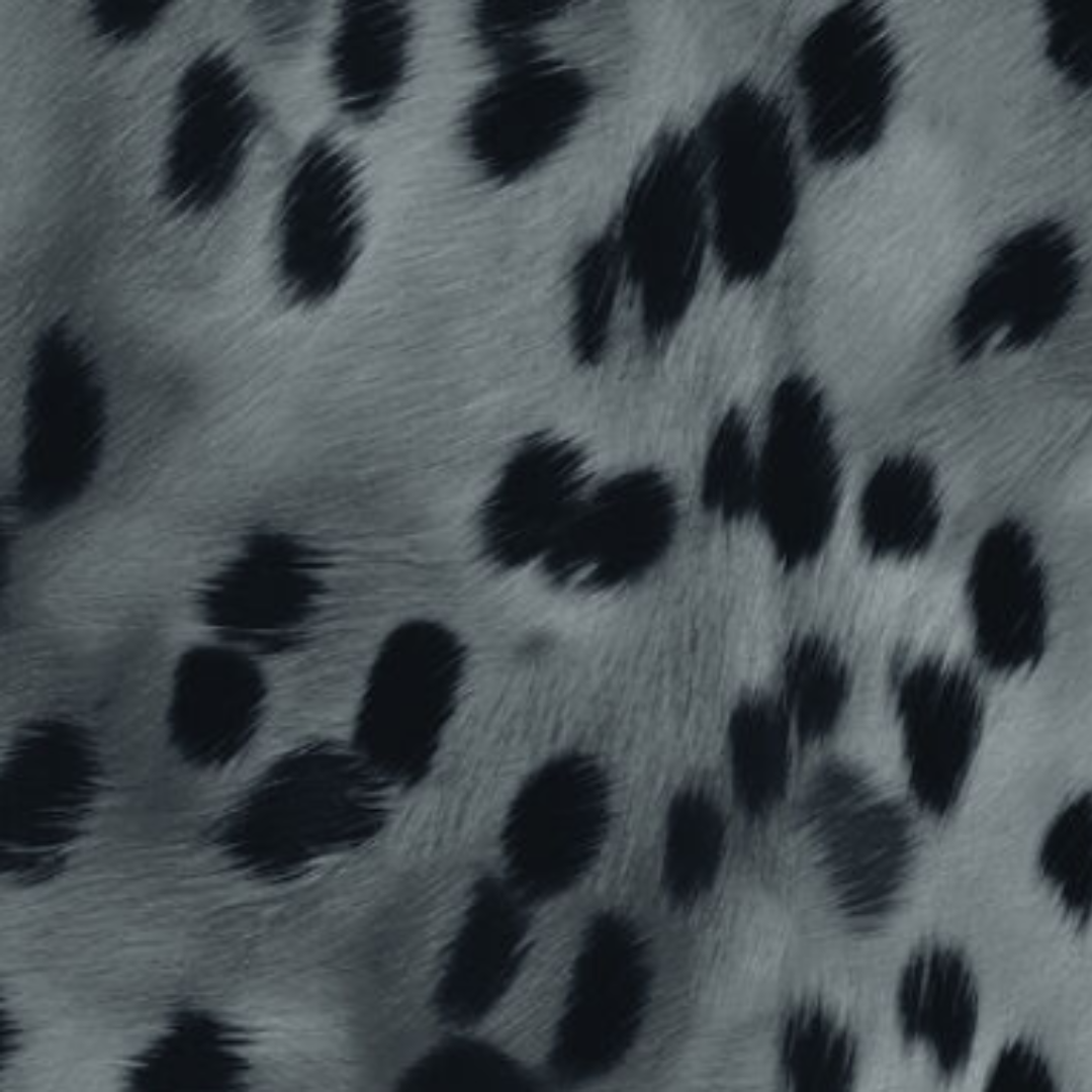 Animal Print - 41882