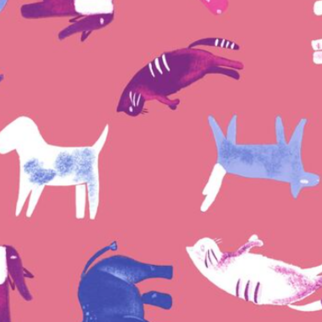 Estampado Animales - 01624