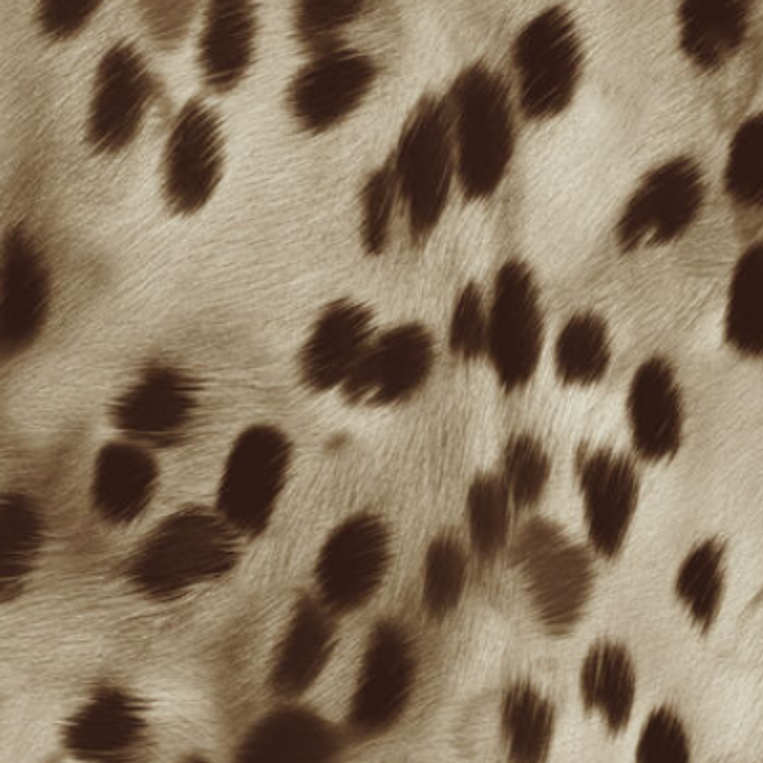 Animal Print - 41882