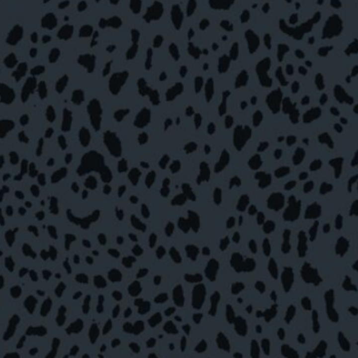 Estampado Animal Print -40121