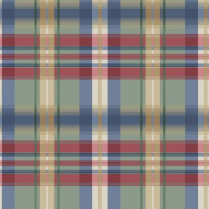 Estampado Cuadros - 68819