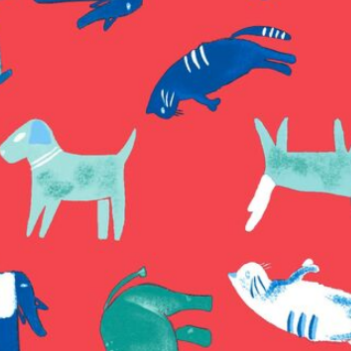 Estampado Animales - 01624