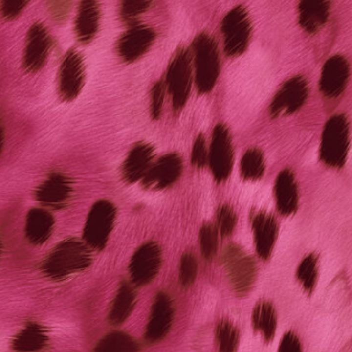 Animal Print - 41882