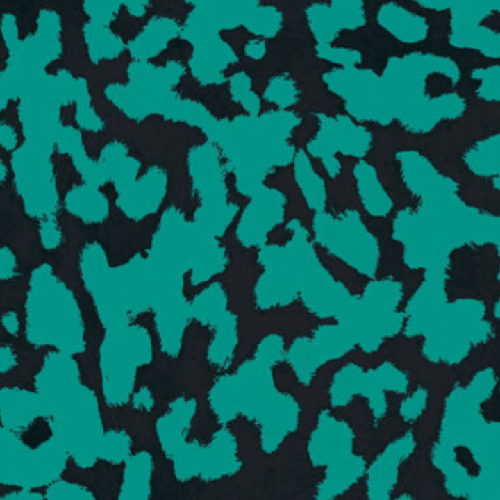 Estampado Animal Print - 21256