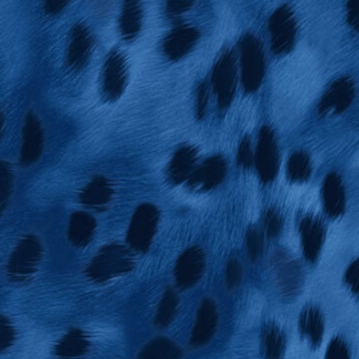 Animal Print - 41882